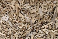 biomass boilers Restalrig